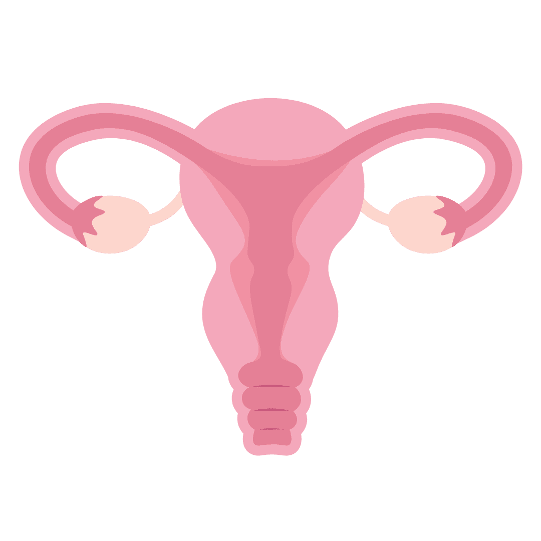Sensibiliseringsacties rond HPV